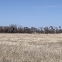 Income-Producing Farm &nbsp; Ranch For Sale in Clark County  KS - Auction images 5