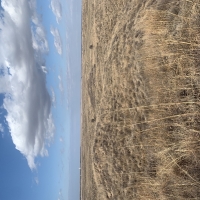 Income-Producing Farm &nbsp; Ranch For Sale in Clark County  KS - Auction images 6