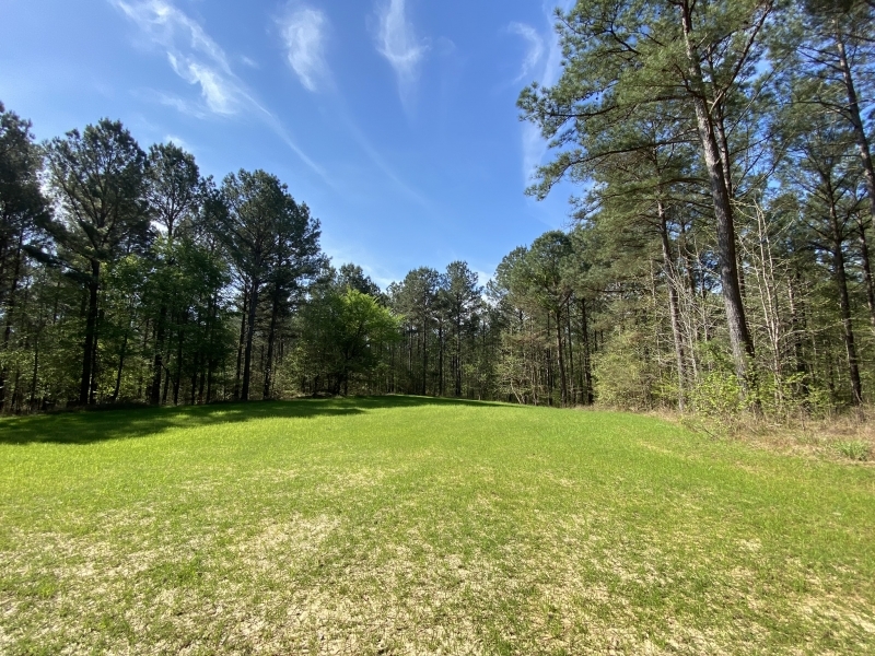 340 Acres in Yalobusha County in Oakland MS Hunting Land for Sale