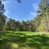 340 Acres in Yalobusha County in Oakland  MS images 2