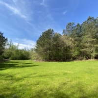 340 Acres in Yalobusha County in Oakland  MS images 4