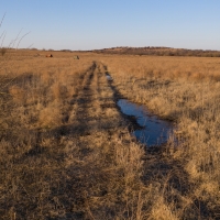 1085 acres of Vacant Land in Copan  OK images 5