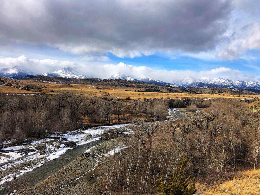 Triple S Ranch featured image