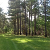 09-008-cedar-oaks-ranch images 3
