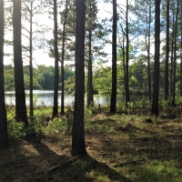 09-008-cedar-oaks-ranch images 4