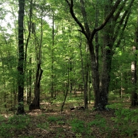 09-008-cedar-oaks-ranch images 5