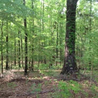 09-008-cedar-oaks-ranch images 6