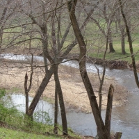 Outstanding Hunting &nbsp; Recreational Ranch For Sale in Washington County  AR images 5