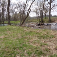 Outstanding Hunting &nbsp; Recreational Ranch For Sale in Washington County  AR images 6