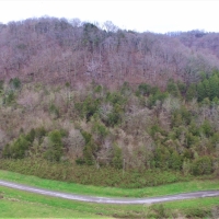 Hunting &nbsp; Recreational Land For Sale in Cumberland County  KY images 2