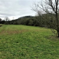 Hunting &nbsp; Recreational Land For Sale in Cumberland County  KY images 6