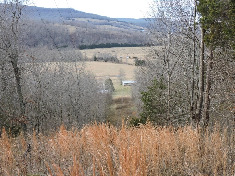 Farm with Hunting &nbsp; Recreational Land For Sale in Carroll County  AR featured image