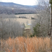 Farm with Hunting &nbsp; Recreational Land For Sale in Carroll County  AR