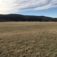 Farm with Hunting &nbsp; Recreational Land For Sale in Carroll County  AR images 3