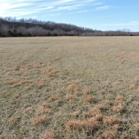 Farm with Hunting &nbsp; Recreational Land For Sale in Carroll County  AR images 5