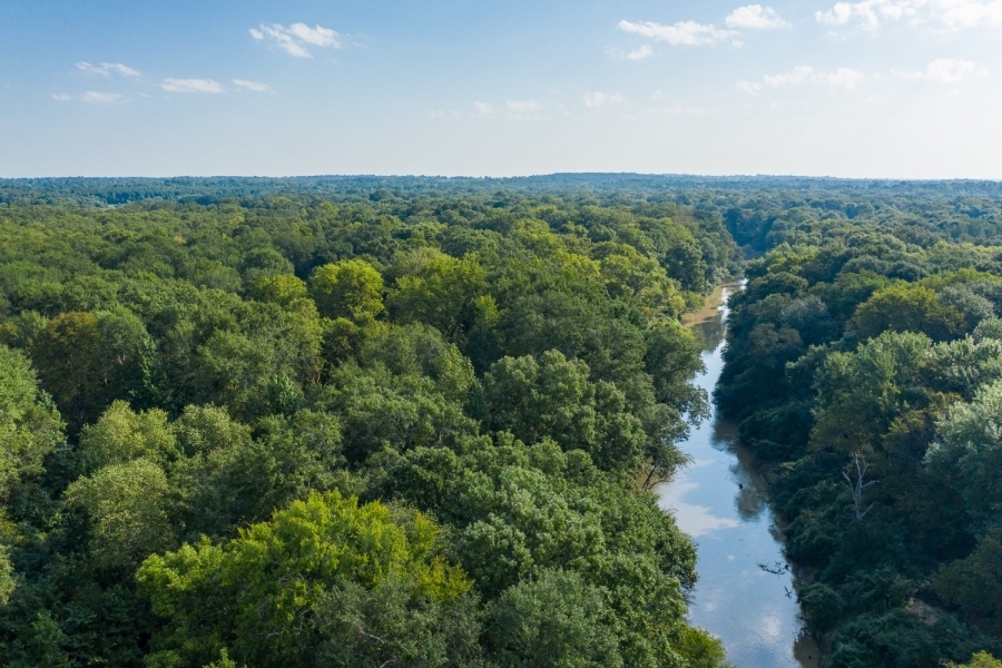 Sabine Riverfront Hunting Property For Sale in East TX featured image