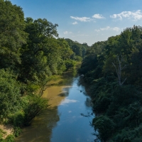 Sabine Riverfront Hunting Property For Sale in East TX images 3