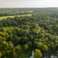 Sabine Riverfront Hunting Property For Sale in East TX images 4