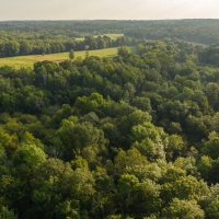 Sabine Riverfront Hunting Property For Sale in East TX images 5