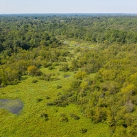 Sabine Riverfront Hunting Property For Sale in East TX images 6