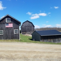 134 acres House with Barns and Pond in Rexville NY 1323 Harkenrider Road images 3