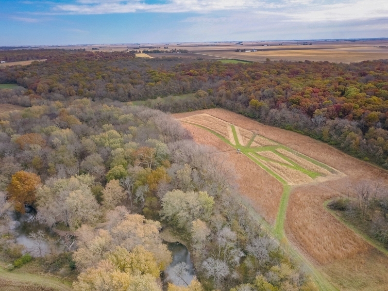 Hunting &nbsp; Recreational Ranch For Sale in DeWitt County  IL featured image