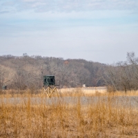 Hunting &nbsp; Recreational Ranch For Sale in DeWitt County  IL images 3
