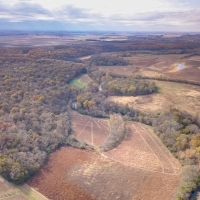 Hunting &nbsp; Recreational Ranch For Sale in DeWitt County  IL images 6
