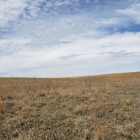 McNeff CRP images 3