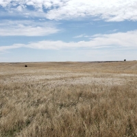 McNeff CRP images 4