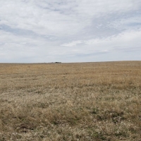 McNeff CRP images 5