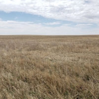 McNeff CRP images 6