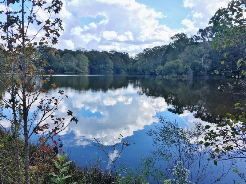 Hunting &nbsp; Recreational Land For Sale in East Baton Rouge Parish  LA featured image