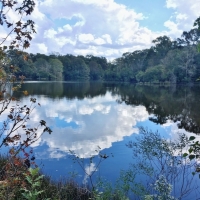 Hunting &nbsp; Recreational Land For Sale in East Baton Rouge Parish  LA