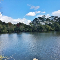 Hunting &nbsp; Recreational Land For Sale in East Baton Rouge Parish  LA images 2