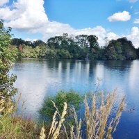 Hunting &nbsp; Recreational Land For Sale in East Baton Rouge Parish  LA images 3