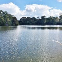 Hunting &nbsp; Recreational Land For Sale in East Baton Rouge Parish  LA images 4