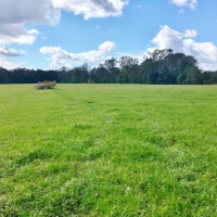 Hunting &nbsp; Recreational Land For Sale in East Baton Rouge Parish  LA images 5