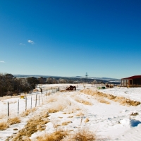 Luxury Horse Ranch &nbsp; Recreational Land For Sale in Delta County  CO images 6