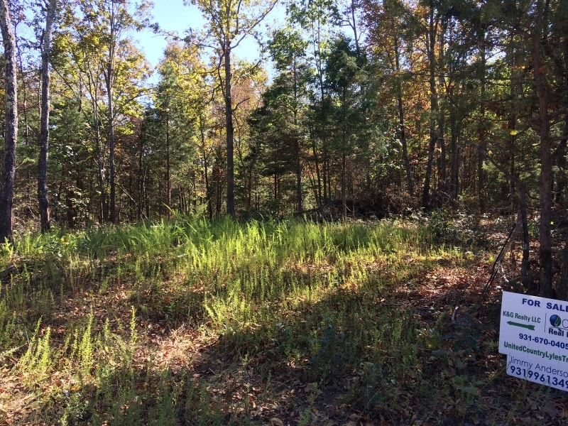 Hunting &nbsp; Recreational Land For Sale in Hickman County  TN featured image