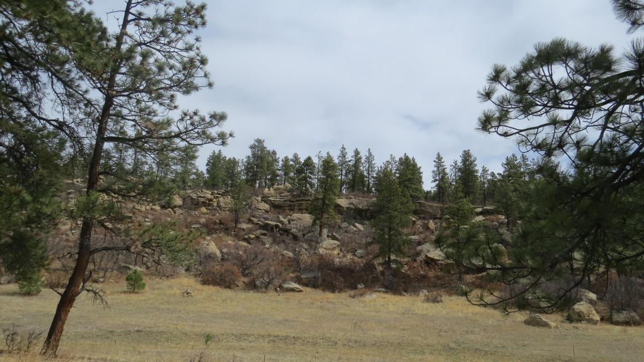 Cimarron Ranch 40 acres - Hunting Land for Sale - HuntingLocator.com ...