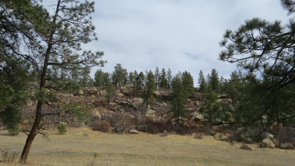 Cimarron Ranch 40 acres featured image