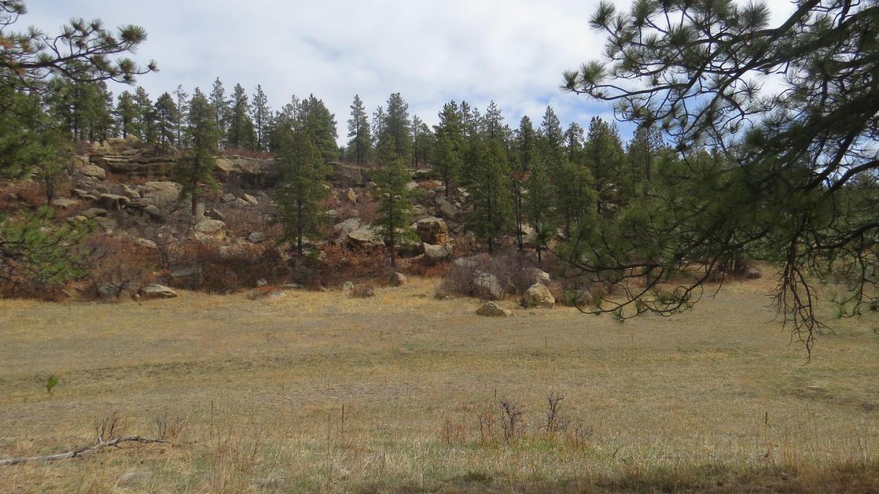 Cimarron Ranch 40 acres - Hunting Land for Sale - HuntingLocator.com ...