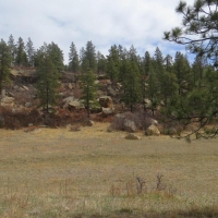 Cimarron Ranch 40 acres images 2