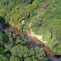 Hunting &nbsp; Recreational Land For Sale in Bankhead National Forest
