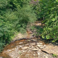 Hunting &nbsp; Recreational Land For Sale in Bankhead National Forest images 2