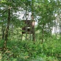 Hunting &nbsp; Recreational Land For Sale in Bankhead National Forest images 3