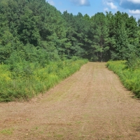 Hunting &nbsp; Recreational Land For Sale in Bankhead National Forest images 5
