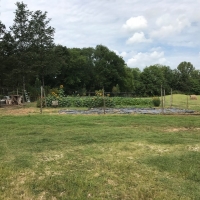 Riverfront Ranch &nbsp; Recreational Land For Sale in Melbourne  AR images 6