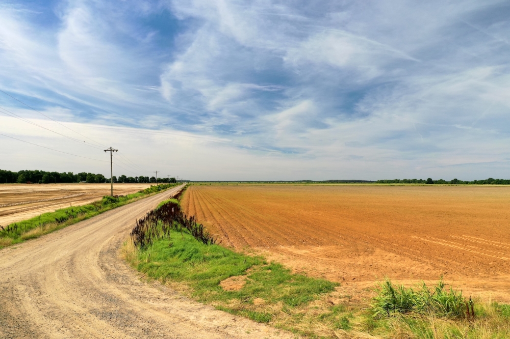 The O Neal Farm featured image